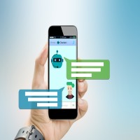 Build a WhatsApp chatbot for your business