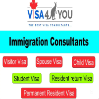 Best Visa and Immigration Consultants in Pune
